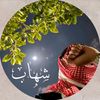 shehab7787