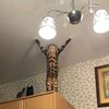 bekyscope