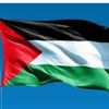 palestinianthelionking44