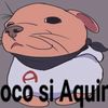 gonzalo_012345