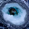 UtopianEarth