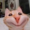 hhhhhhhhhhhhl62