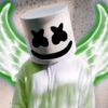 user3401303433204