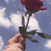 jave_raees