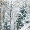 winter2023doesnotexist