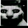 sharelock_takparani01