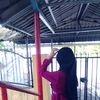 theonly_qiszz