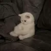 fghhdswkb8r