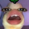 adetrianiali1