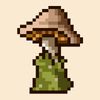 yongo