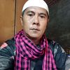 pauk6191