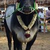 pbalakrishnanpaul