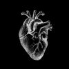 livv3613