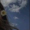 manal.malak94