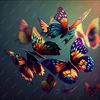butterflypriness123