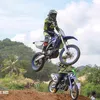 markandrewalit