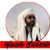 waahbaloch1664