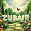 zubairabbasi4414