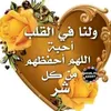 user2331152999400