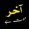 shajarabbas690
