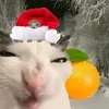 n1ce_gel.tt