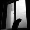 pwrr_8jj
