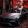 louis_l115