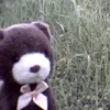 anhthuphan0.0