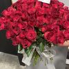 angelina__bh