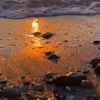 smeyraorhan_67