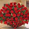 user90707024251728