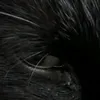 starbouy__