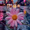 __sara_75