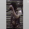korn_710