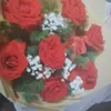 meyeeucacc_15