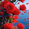 soso_maria74