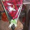 regnt13