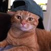 lhengapplble