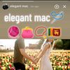 elegant.mac