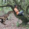 RAJA HUTAN