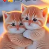 user8841616619555