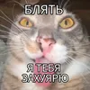 atomnaxy