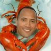 sosajelly