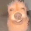 cecny0