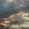 naxusiaa