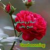 qasimqureshi252