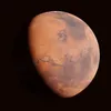 LittleCuriosity