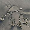_6riin