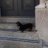 daxi.g.r