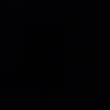 shams._19r